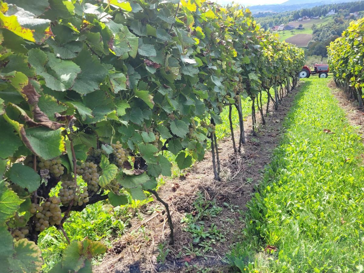 Fantastic View Vineyard Beskid Mountains Apartment *