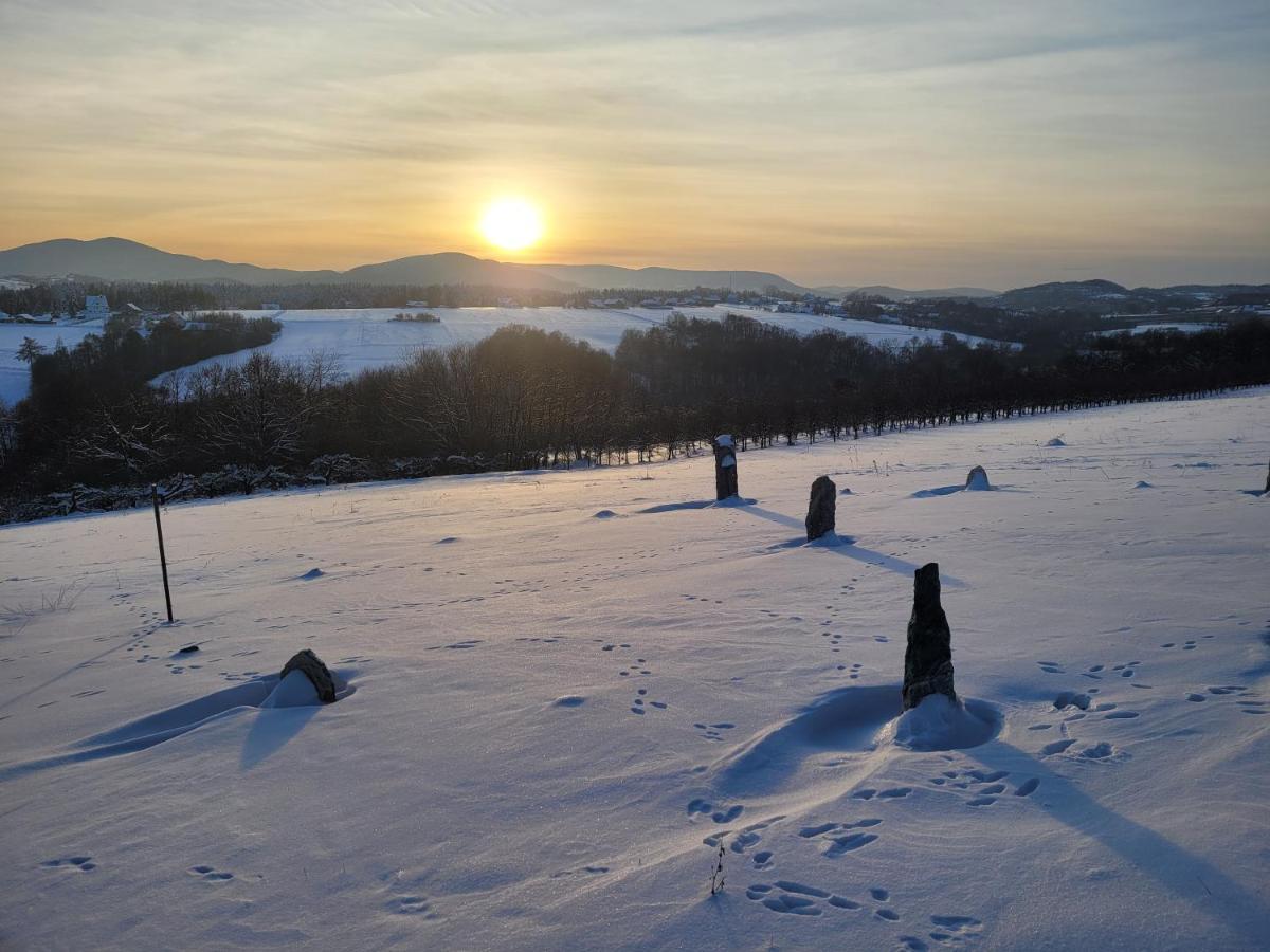 Fantastic View Vineyard Beskid Mountains Apartment