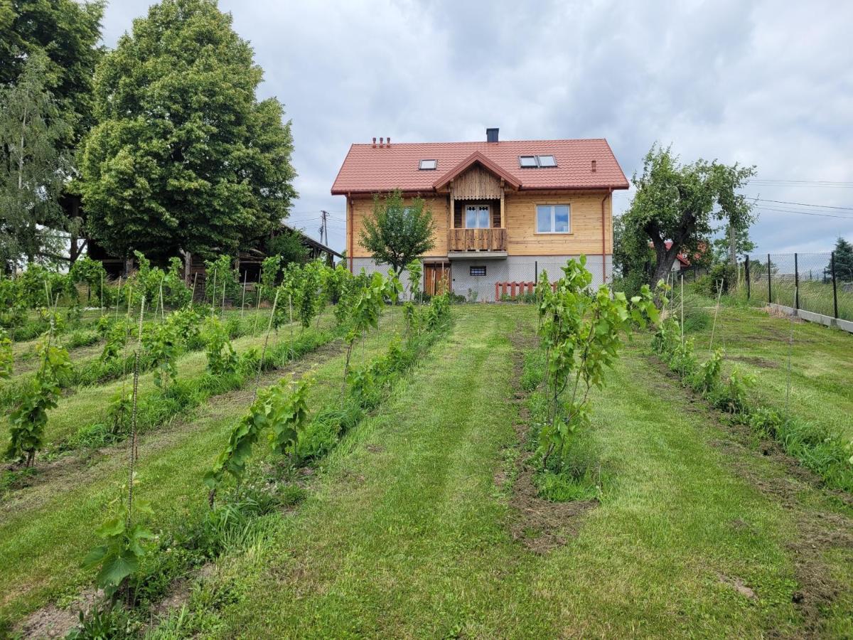 Fantastic View Vineyard Beskid Mountains